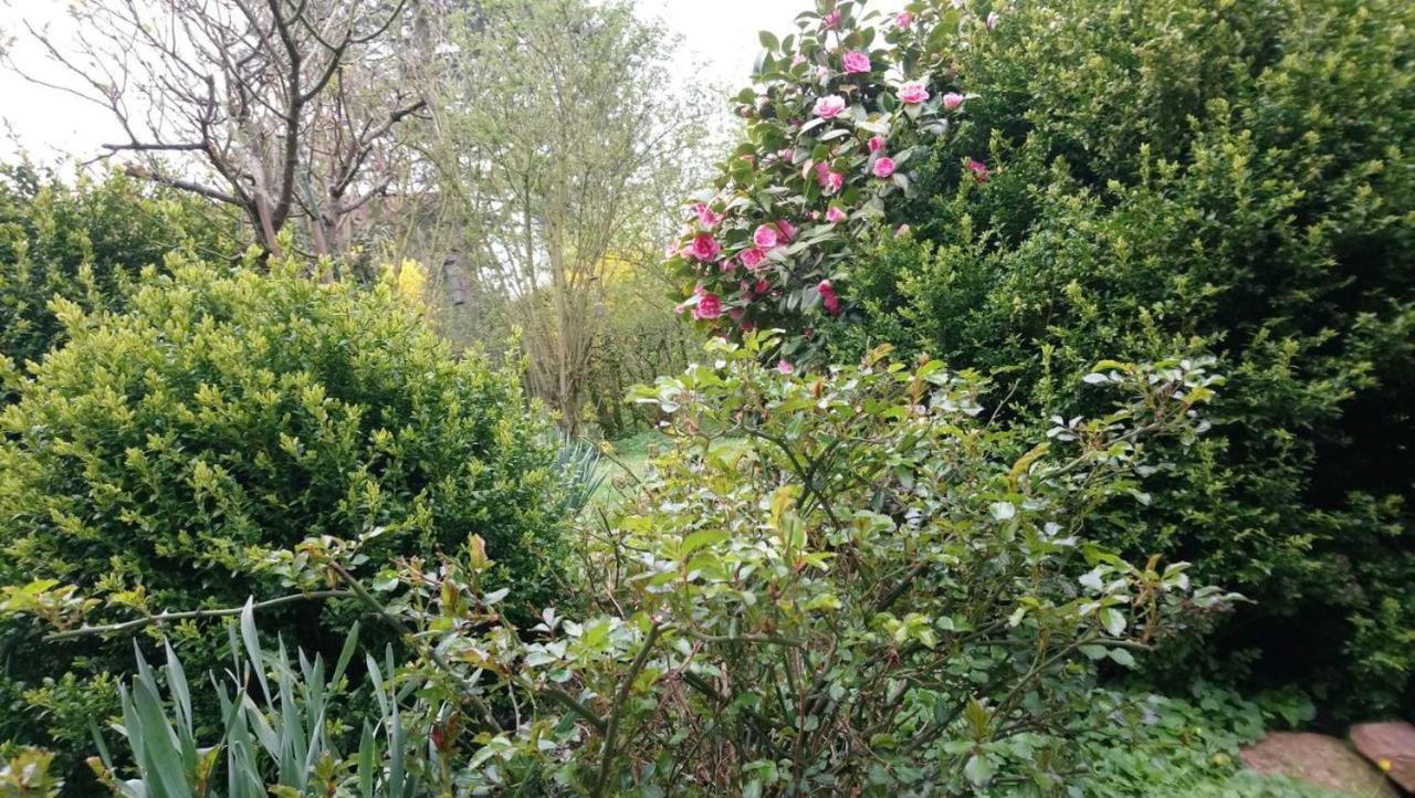 La Casa Ferienwohnung Schauinsland Steinberg  Zewnętrze zdjęcie